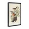 Stupell Industries Classic Audubon Bird Study Framed Floater Canvas Wall Art Design by one1000paintings